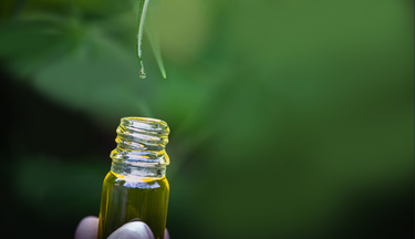 CBD 101: Full Spectrum vs Broad Spectrum