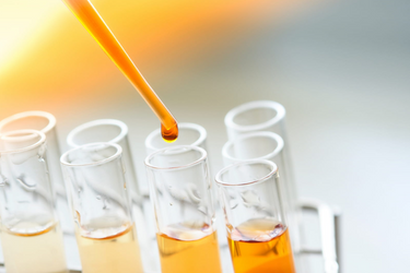 Where Does CBD Come From? A Deeper Look at CBD Extraction