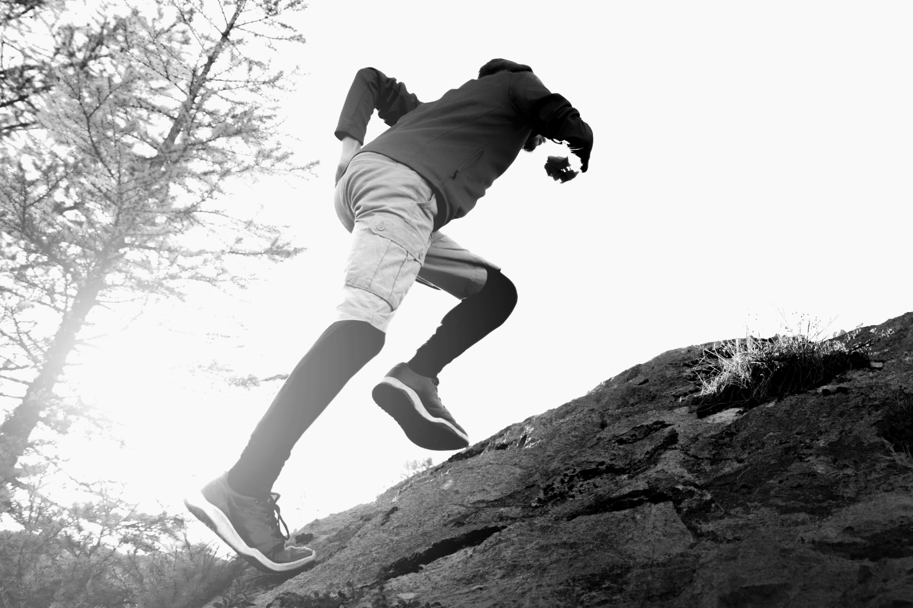 Reset Your Routine: Fall Into Better Health – Level Select CBD