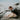 Embracing Physical Activity for Longevity: 5 Key Practices for a Healthier Life