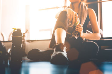 Holiday Habits for Success