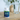 DAILY ENHANCED PROBIOTIC